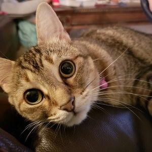 Meet your Posher, Stacie